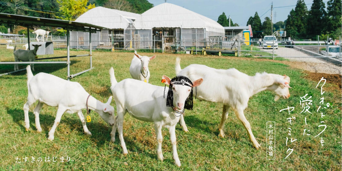 木村山羊牧場-クレオパトラも愛したヤギミルク