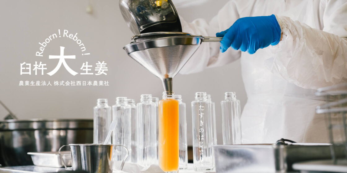 農業生産法人 株式会社西日本農業社-Reborn!臼杵大生姜