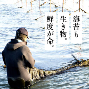 有限会社鶴亀フーズ-海苔も生き物。鮮度が命。