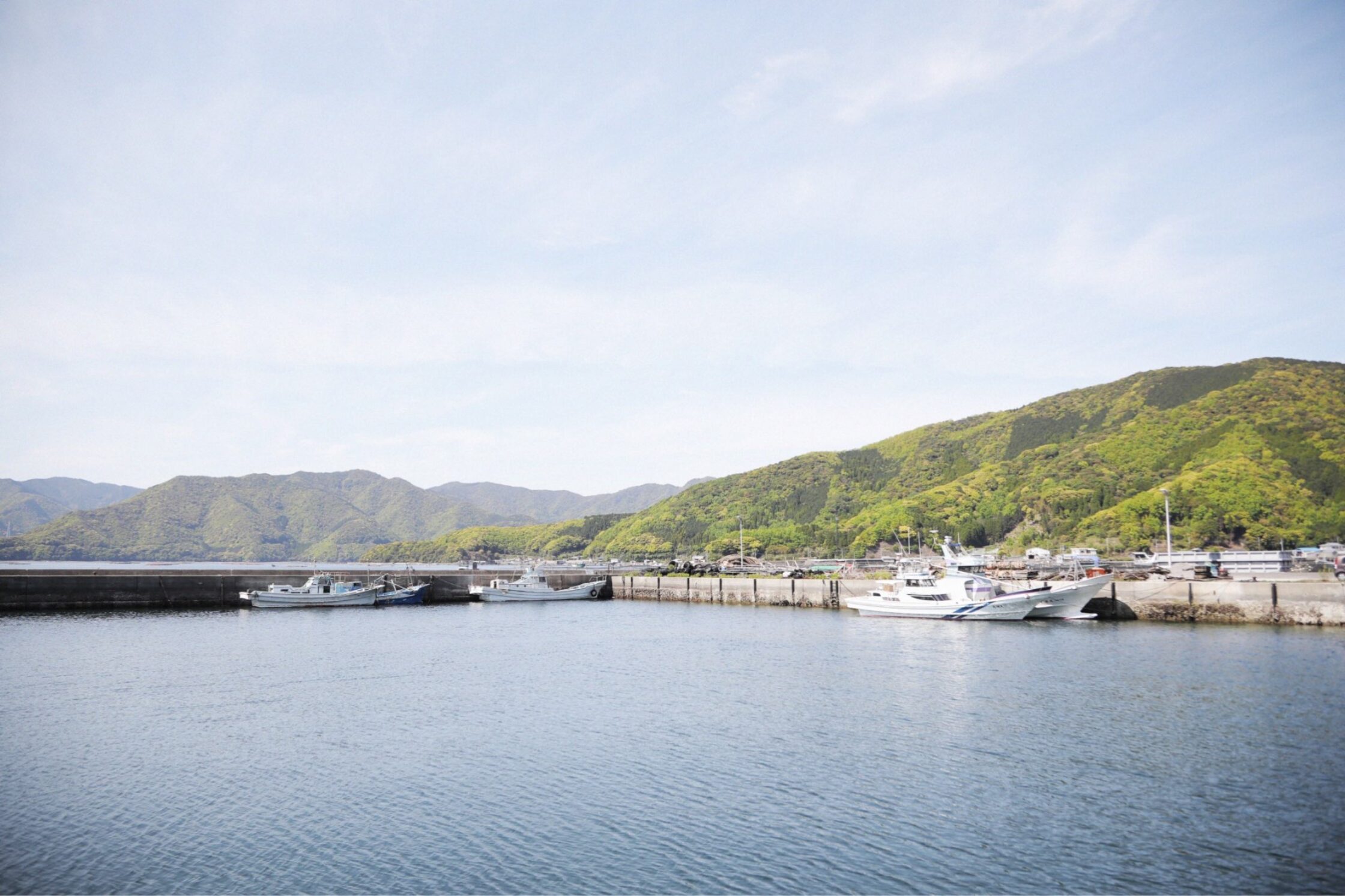 蒲江で獲れる新鮮な魚を骨までおいしく調理 おおいた、食のたすき。
