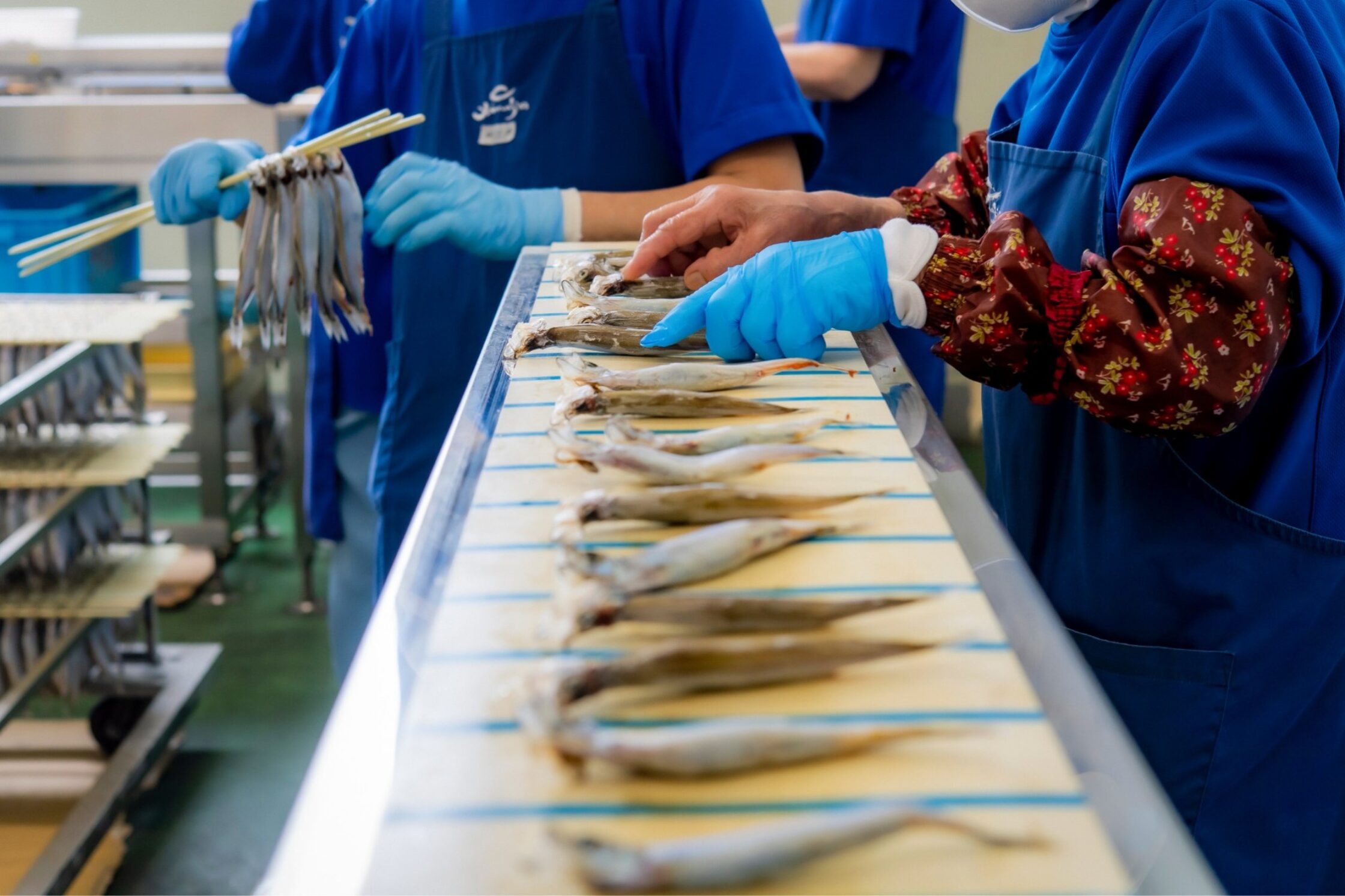刺身にできる魚を加工新鮮だから干しても旨い！ | 株式会社ヤマジン | 特集記事 | おおいた、食のたすき。
