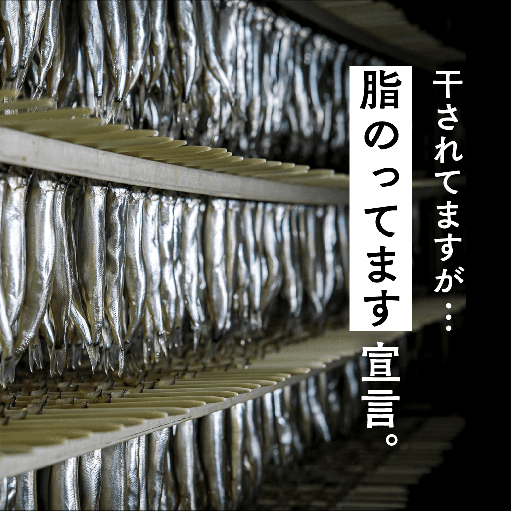 刺身にできる魚を加工新鮮だから干しても旨い！ | 株式会社ヤマジン