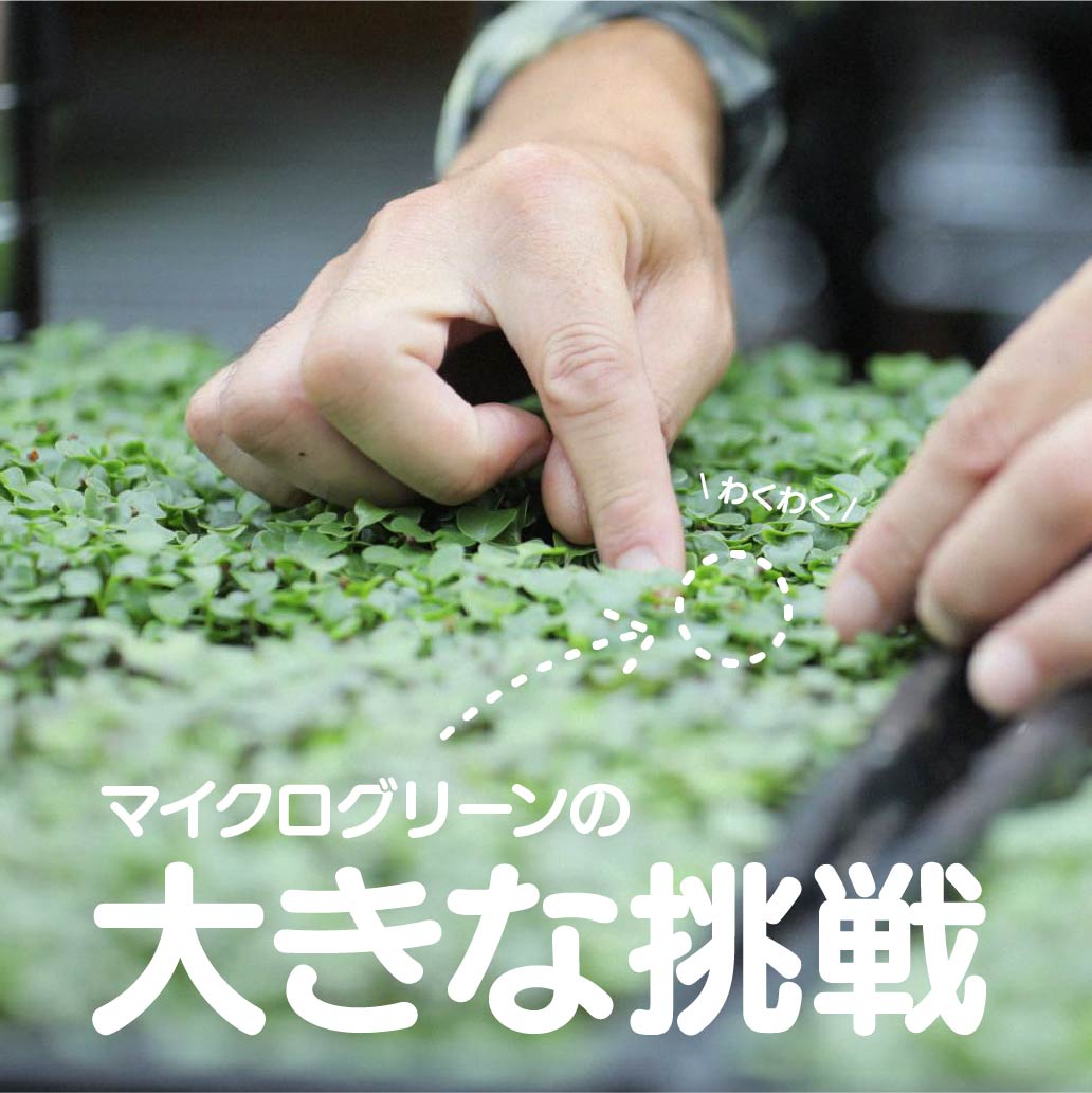 自然と人、地域と未来をつなぐ「かかりつけ農家」「Farm Sam」の挑戦